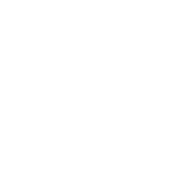 Cosmic Guardians Signs Gemini
